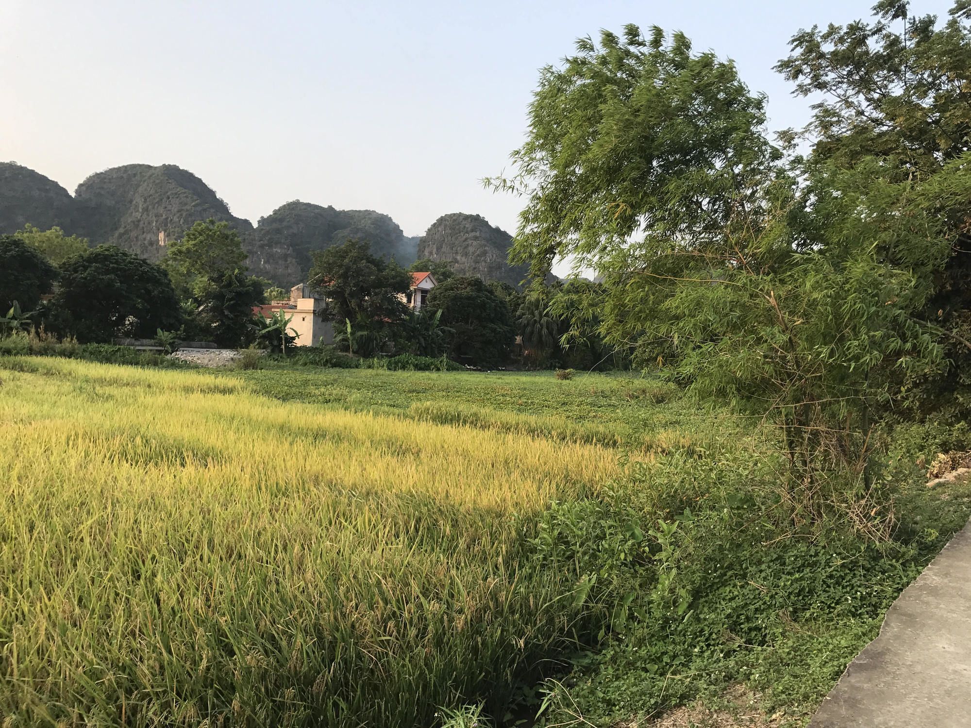 谭克花园家庭旅馆 宁平 外观 照片