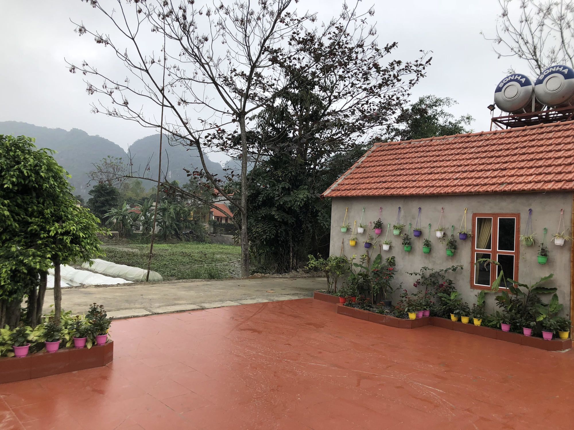 谭克花园家庭旅馆 宁平 外观 照片